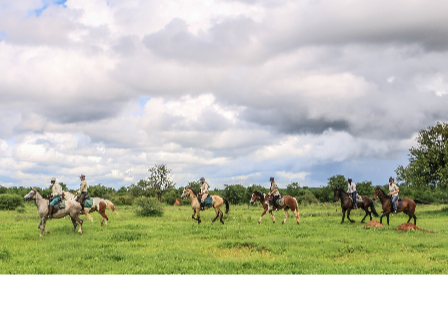 Horse and Hippo Safari